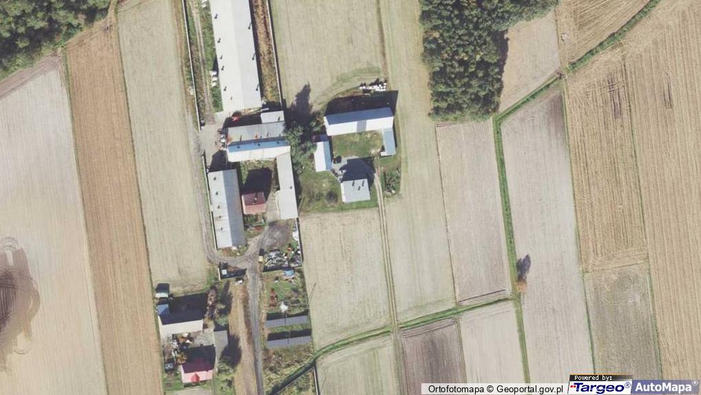 Kaliszkowice Ołobockie 95 (ul), 63510 Kaliszkowice Ołobockie